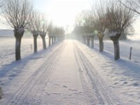 Sneeuwwandeling Tielt Poelberg 072