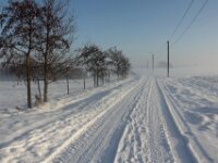 Sneeuwwandeling Tielt Poelberg 083