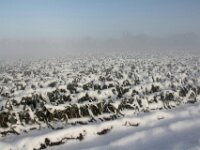 Sneeuwwandeling Tielt Poelberg 085