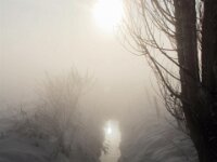 Sneeuwwandeling Tielt Poelberg 091