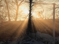 Sneeuwwandeling Tielt Poelberg 093