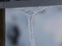 Sneeuwwandeling Tielt Poelberg 097