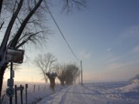 Sneeuwwandeling Tielt Poelberg 101