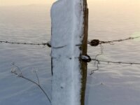 Sneeuwwandeling Tielt Poelberg 105