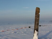Sneeuwwandeling Tielt Poelberg 108