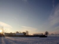Sneeuwwandeling Tielt Poelberg 124
