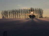 Sneeuwwandeling Tielt Poelberg 137