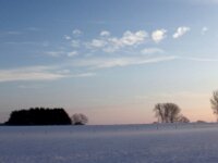 Sneeuwwandeling Tielt Poelberg 138