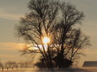 Sneeuwwandeling Tielt Poelberg 139