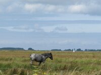 Dag 3 Rit deel 2 021