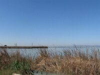 Dag 4 - La Albufera & El Palmar