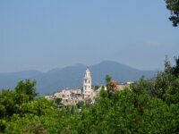 IMG 7472