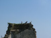 IMG 7509