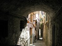 IMG 7622
