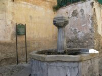 IMG 7629