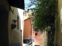 IMG 7672