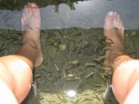 IMG 7839