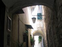 IMG 7981