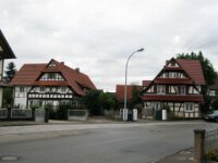 IMG 8110