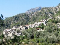 IMG 7542