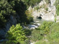 IMG 7547