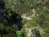 IMG 7553