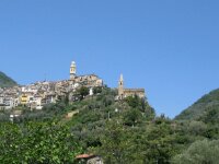 IMG 7719