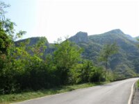 IMG 7735