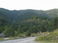 IMG 7769