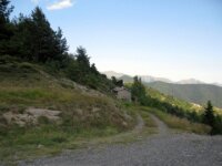 IMG 7770
