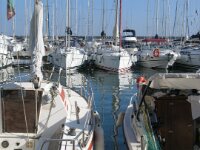 IMG 7862