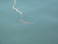 IMG 7865