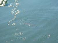 IMG 7866