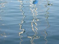 IMG 7868