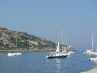 IMG 7884