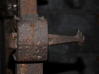 IMG 7438