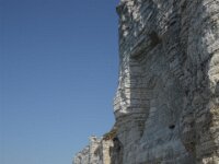 IMG 7868