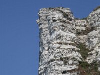 IMG 7885