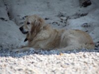 IMG 7919