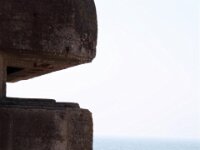 IMG 7931