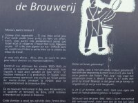 IMG 7096