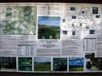 IMG 7337a