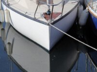 IMG 7964