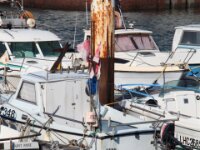 IMG 7968
