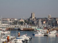 IMG 7974