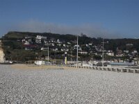 IMG 7979