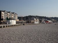 IMG 7980