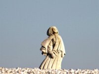 IMG 7985