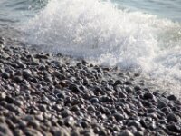 IMG 7990