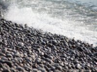 IMG 7999